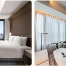 1378 | 서울 AC 호텔 서울 강남 | 강남 4성급 가심비 호캉스