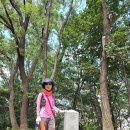 완산-135 Daum카페