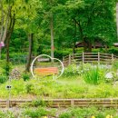 국립오서산자연휴양림 이미지