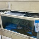 해울회전복 | 울산 개별룸 일식코스 자연산회전문 해울회전복