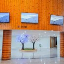 전북특별자치도산림박물관 이미지