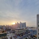 아브뉴프랑 옐로우 이미지