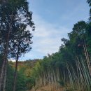 힐스토리펜션 이미지