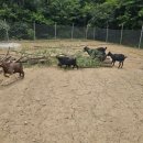 광개토농장 이미지