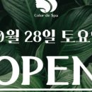 컬러드스파 이미지