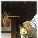 내고향집 이미지