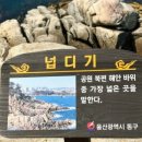 대왕암솔바람길 이미지