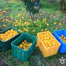 풍양흥무정 이미지