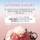 봄이꽃피다 이미지