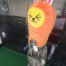 나인 스포렉스 이미지