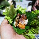 가는골농장 이미지