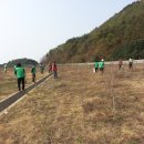 무궁화비료 이미지