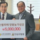안상규벌꿀 이미지