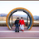 느림보농장 이미지