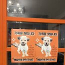 힙독 애견카페 | 광주 애견카페 마이힙독