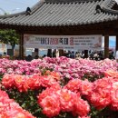 바다모은 이미지