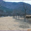 체리파크 이미지