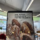 르방베이커리 - 남원시 | 🥐 춘천 빵지순례 필수 코스! 르방 천연발효종으로 만드는 남춘천역 빵집 온의동베이커리 내돈내산 후기 🥖✨