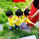 하나플러스산부인과 Daum카페