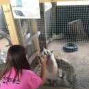 함열 농장 이미지