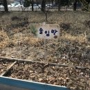 광양제철유치원 이미지