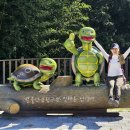 2026. 6.21(일)대이작도 섬산행 이미지