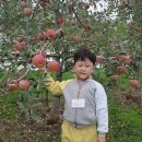 ♡ 4학년 1반의 가을소풍 이야기-예산 사과 농장♡ 이미지