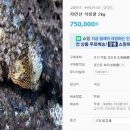 산마을건강원 - 밀양시 감물1길 84-150 | 산마을건강원