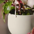 춘기의 집 이미지