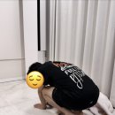 피브로 | [내돈내산] 시드물 미네랄 토너 &amp; 피브로블라스트 앰플 솔직후기 ｜차돌박이 덮밥과 강아지 산책 일상
