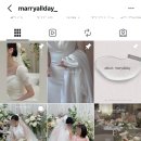 W 12. [아이폰스냅] 메리올데이 파티웨딩유 스냅｜당일 계약 후기