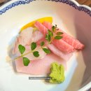 문정 맛집ㅣ문정 법조타운 가이세키 맛집 &#39;하나미치&#39;