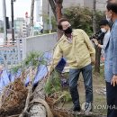 서울선사초등학교 이미지
