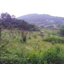 뚝심농장 이미지