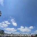 찬우물근린공원 이미지