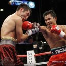 퀸스복싱 이미지