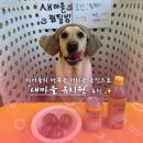 새마을 유치원 이미지