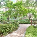 푸른숲공인중개사사무소 이미지
