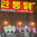 벚꽃 만개 4월 일상🌸
