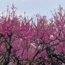 라온농장 이미지