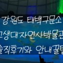 태백구문소힐링캠프 이미지