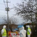 신창농장 이미지