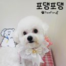 뽀송