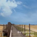 서산 한우목장 갔는데 한우가 없다? 부석사 소원돌 후기