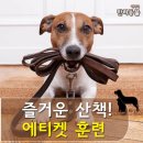 즐거운산책