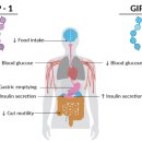 해경아는약국 이미지