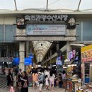 속초중앙전통시장 | 속초 중앙시장 필수 먹거리 및 주차 후기｜현지인 추천 맛집