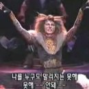 피스오브피스 이미지