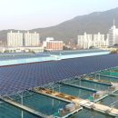 수1 태양광발전소 이미지