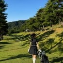 에버리오골프클럽 이미지